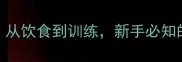 哈士奇饲养全攻略从饮食到训练新手必知的5大省心养宠技巧