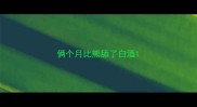 俩个月比熊舔了白酒