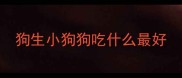 狗生小狗狗吃什么最好