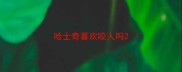 哈士奇喜欢咬人吗
