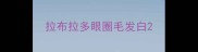 拉布拉多眼圈毛发白