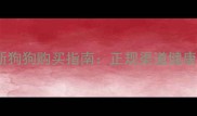 龙华宠物市场最新狗狗购买指南正规渠道健康保障领养信息全