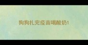 狗狗扎完疫苗喝酸奶