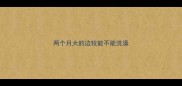两个月大的边牧能不能洗澡