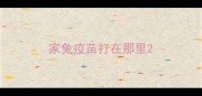 家兔疫苗打在那里