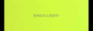 宠物店怎么做宣传