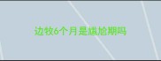边牧6个月是尴尬期吗