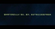 猫咪胃不舒服怎么办呕吐腹泻食欲不振全及家庭护理指南