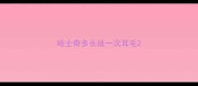 哈士奇多长拔一次耳毛