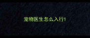 宠物医生怎么入行
