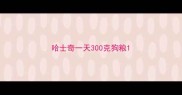 哈士奇一天300克狗粮