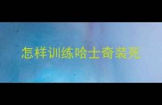 怎样训练哈士奇装死