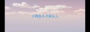 小狗多久才能认人