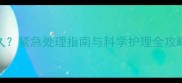 猫咪呕吐后禁食多久紧急处理指南与科学护理全攻略附禁食时间表