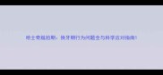 哈士奇尴尬期换牙期行为问题全与科学应对指南