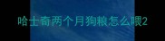 哈士奇两个月狗粮怎么喂