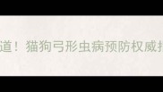 宠物弓形虫疫苗必须知道猫狗弓形虫病预防权威指南附接种全流程