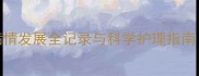 边牧健康预警4天病情发展全记录与科学护理指南附幼犬护理要点