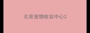北京宠物收容中心