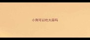 小狗可以吃大蒜吗