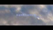 泰迪狗狗走路特别慢