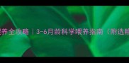 泰迪幼犬粮喂养全攻略3-6月龄科学喂养指南附选粮避坑清单