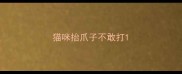 猫咪抬爪子不敢打