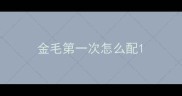 金毛第一次怎么配