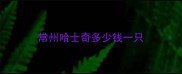 常州哈士奇多少钱一只