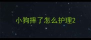 小狗摔了怎么护理
