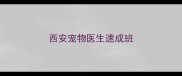 西安宠物医生速成班