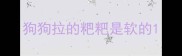 狗狗拉的粑粑是软的