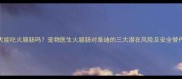 泰迪犬能吃火腿肠吗宠物医生火腿肠对泰迪的三大潜在风险及安全替代方案