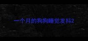 一个月的狗狗睡觉发抖