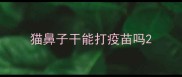 猫鼻子干能打疫苗吗