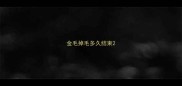 金毛掉毛多久结束