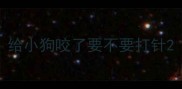 给小狗咬了要不要打针