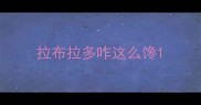 拉布拉多咋这么馋