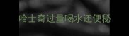 哈士奇过量喝水还便秘