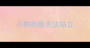 小狗后肢无法站立