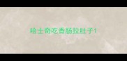 哈士奇吃香肠拉肚子