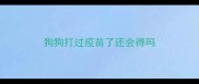 狗狗打过疫苗了还会得吗