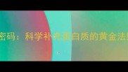 宠物饮食营养密码科学补充蛋白质的黄金法则与选购指南