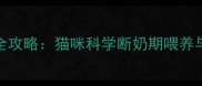 7个月断奶全攻略猫咪科学断奶期喂养与护理要点