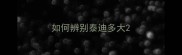 如何辨别泰迪多大
