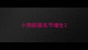 小狗前腿关节增生