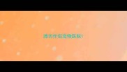 潍坊伴侣宠物医院