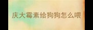 庆大霉素给狗狗怎么喂