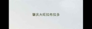 肇庆大旺拉布拉多