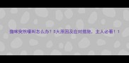 猫咪突然嚎叫怎么办5大原因及应对措施主人必看
